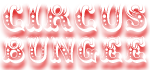 Circus Bungee